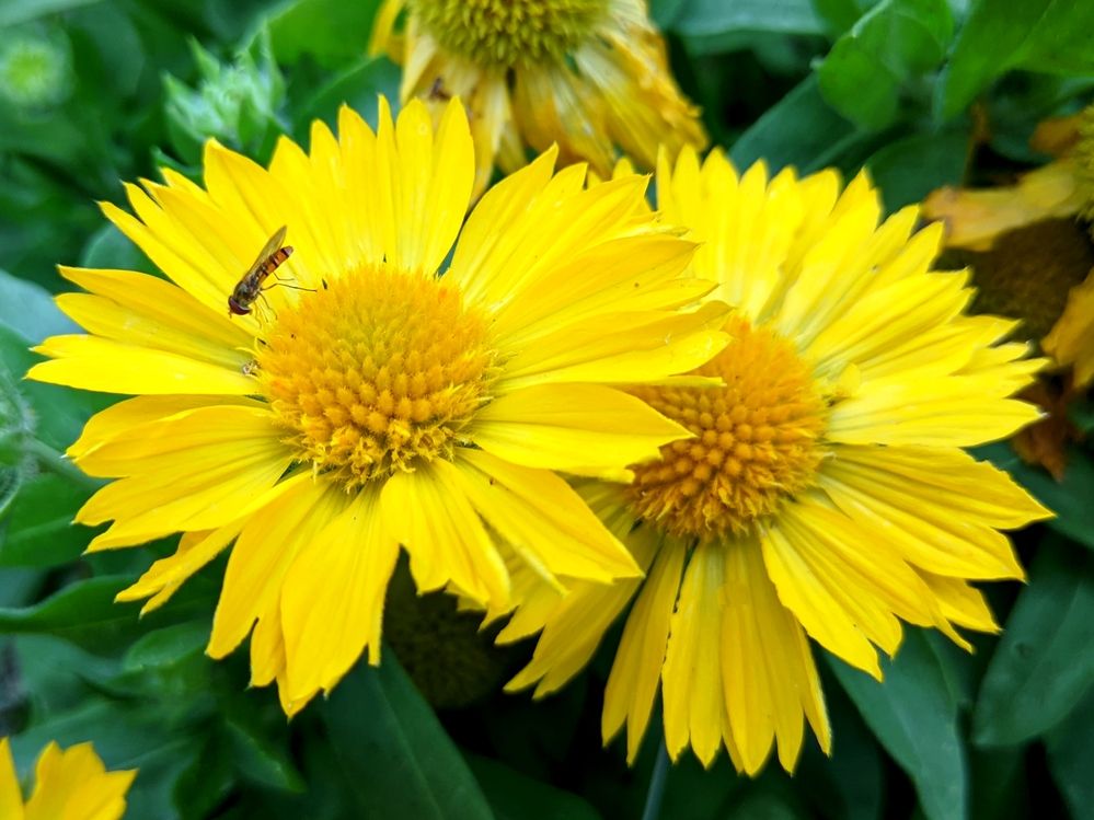 Фотография автора Андрей Павловский