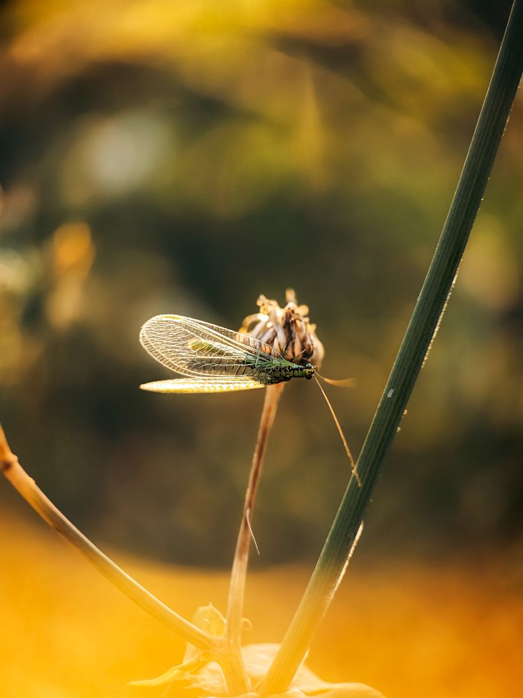 Photograph by Yuliya Karpova