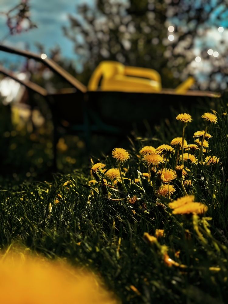 Photograph by Yuliya Karpova