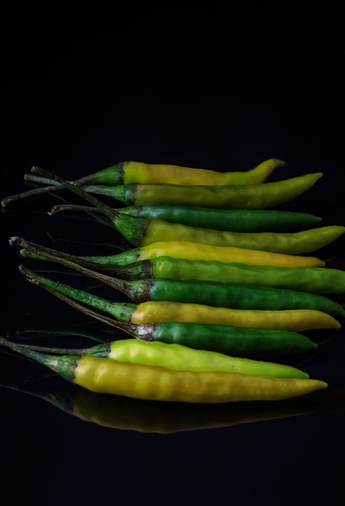 Фотография автора Константин Яковлев