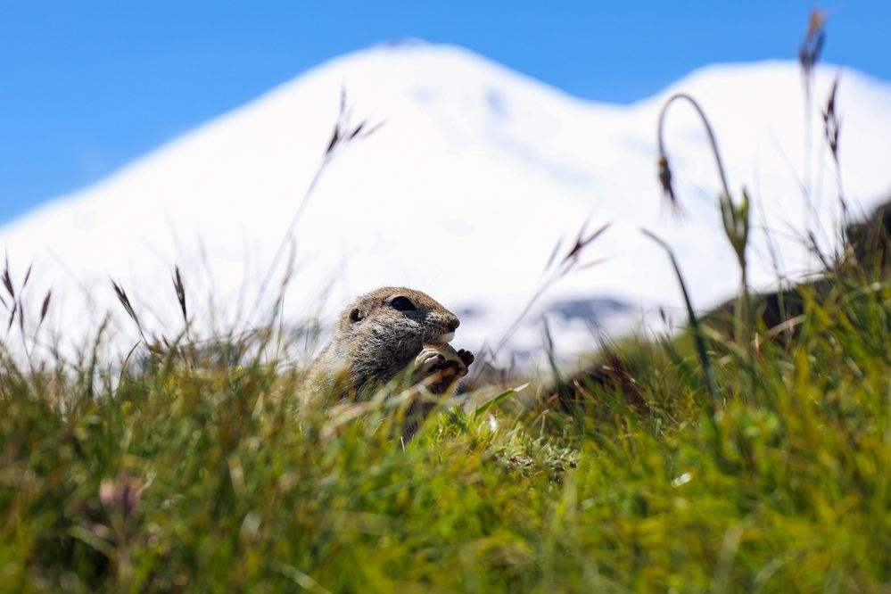Photograph by Андрей Циликов