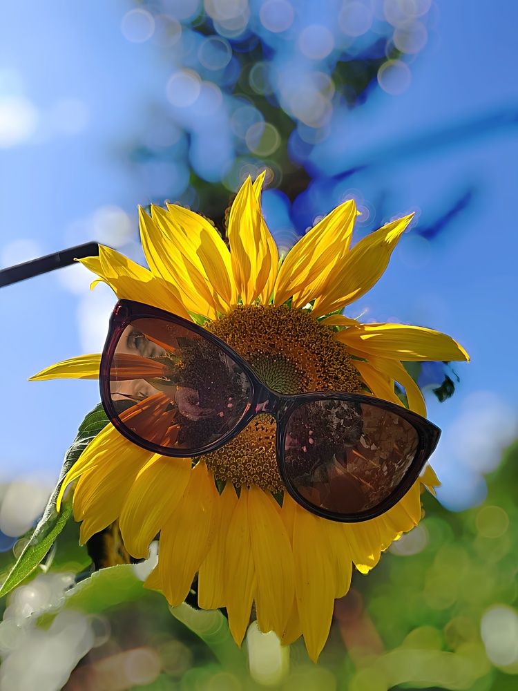 Photograph by Куделенко Оксана