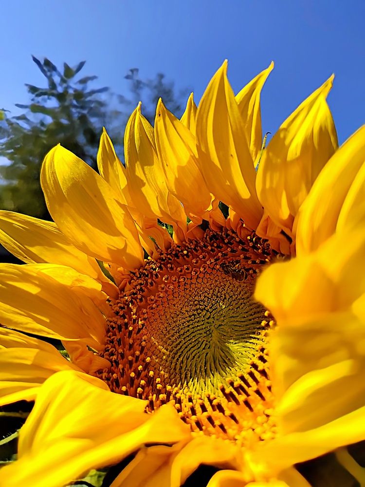 Photograph by Куделенко Оксана