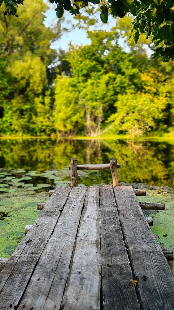 Photograph by Татьяна Нестерова