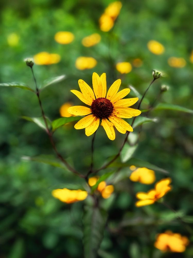 Photograph by Юлия Порфирьева