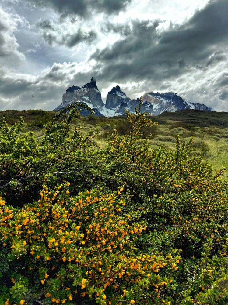 Photograph by Юлия Порфирьева