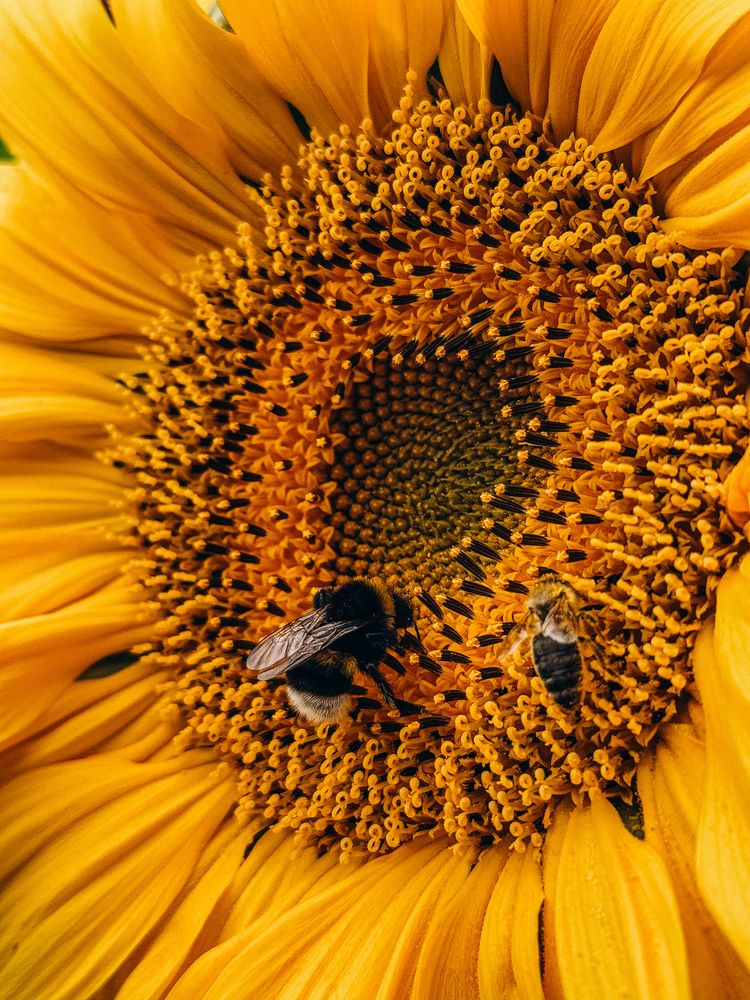 Фотография автора Марина Рябуха