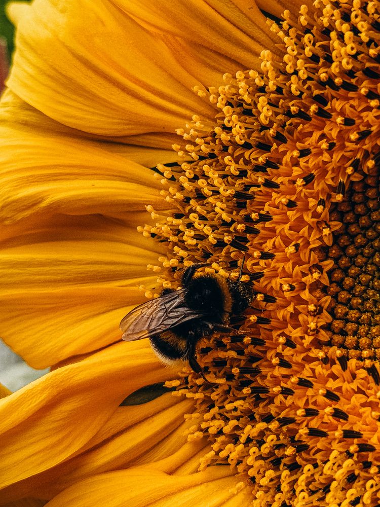 Фотография автора Марина Рябуха