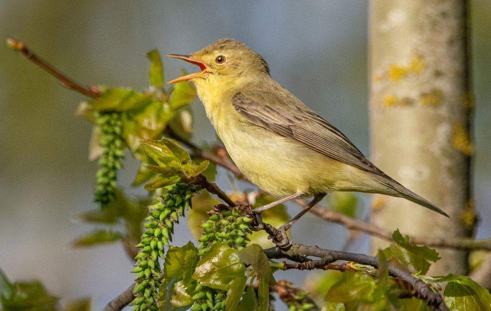 Фотография автора Татьяна Ливеровская