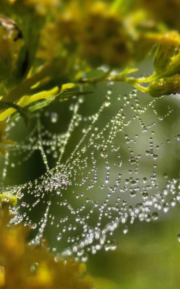 Фотография автора Светлана Зимина