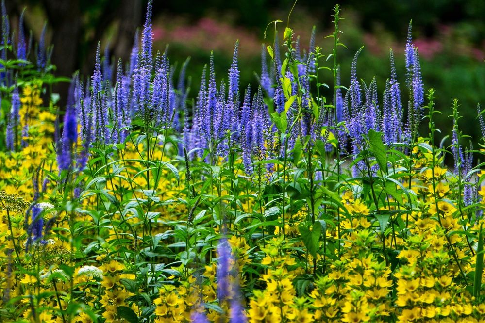 Photograph by Marina Mossiy