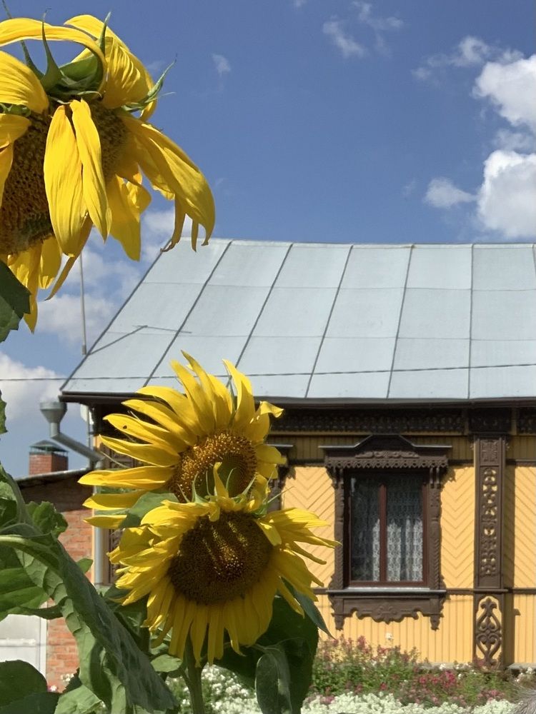 Photograph by Игорь Ребров