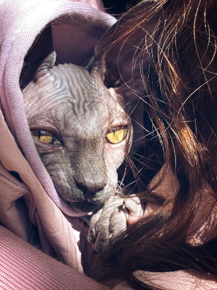 Photograph by Юлия Коврешкина