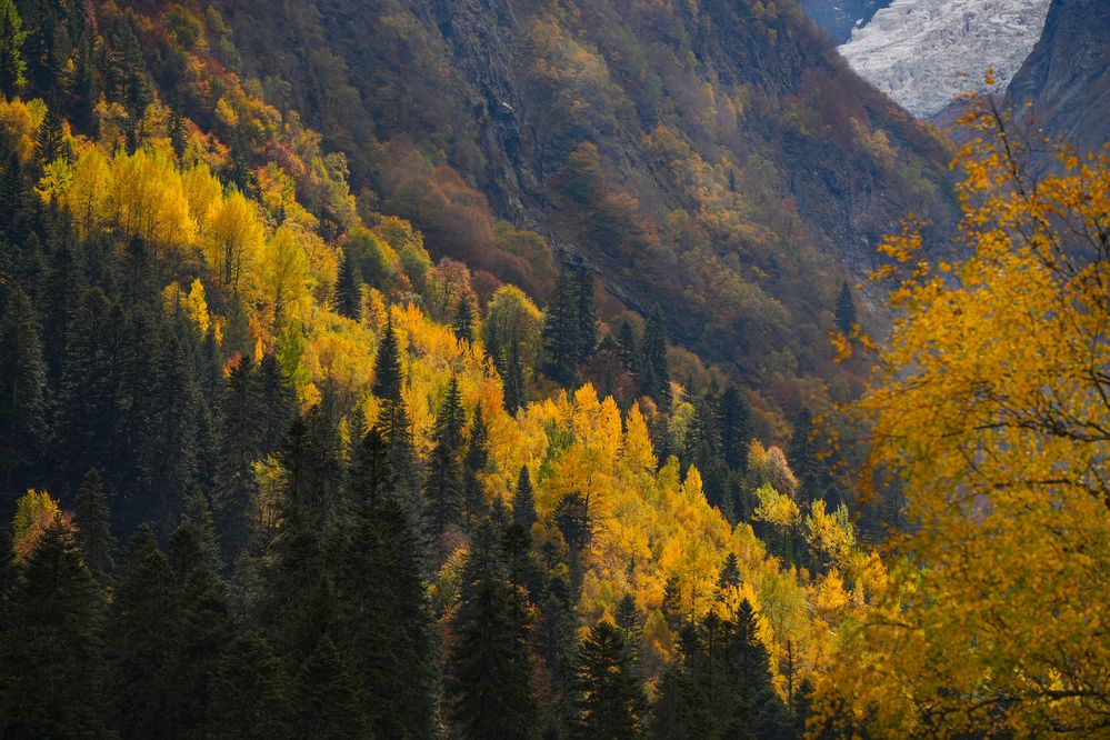 Фотография автора Светлана Зимина