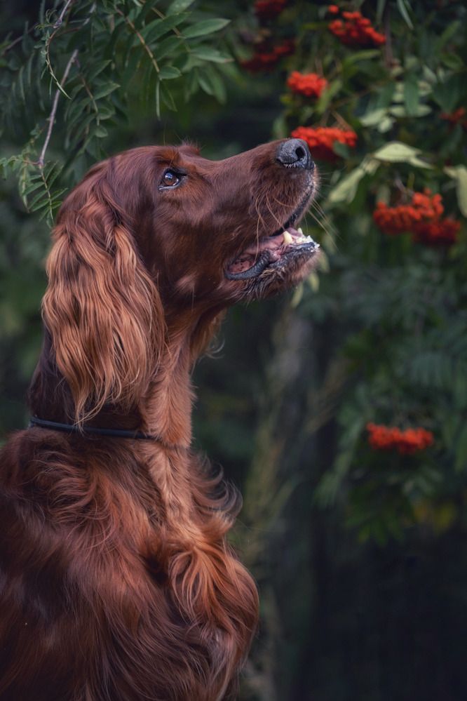 Photograph by Татьяна