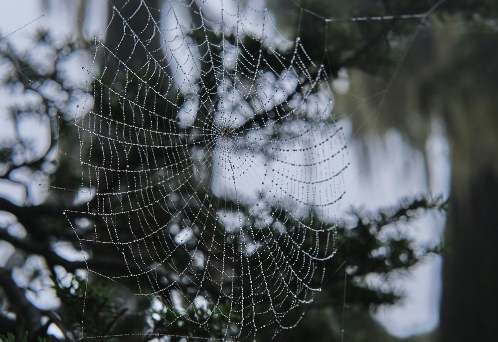 Photograph by Marina Poushkina