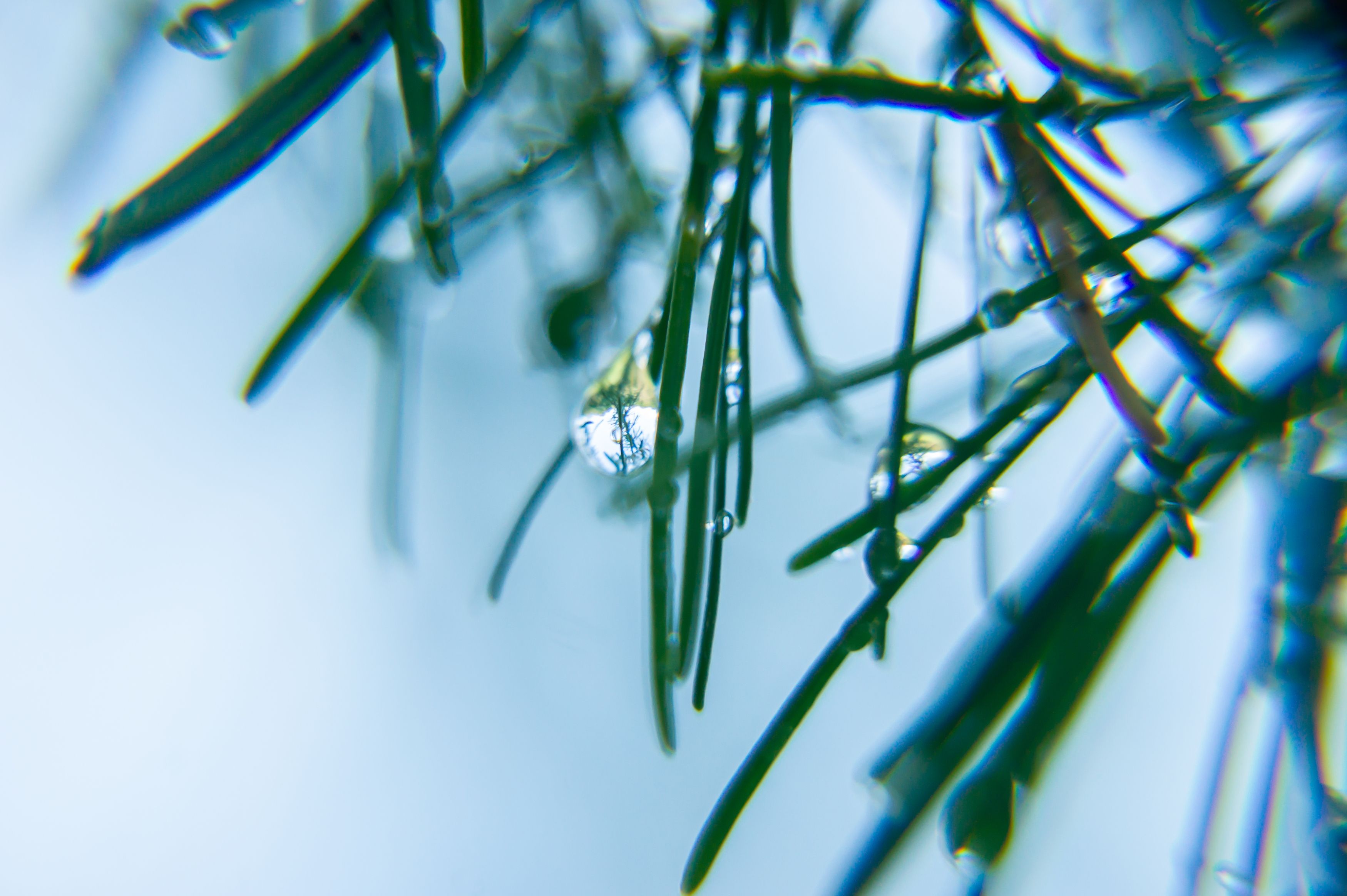 Photograph by Елизавета Корнилова