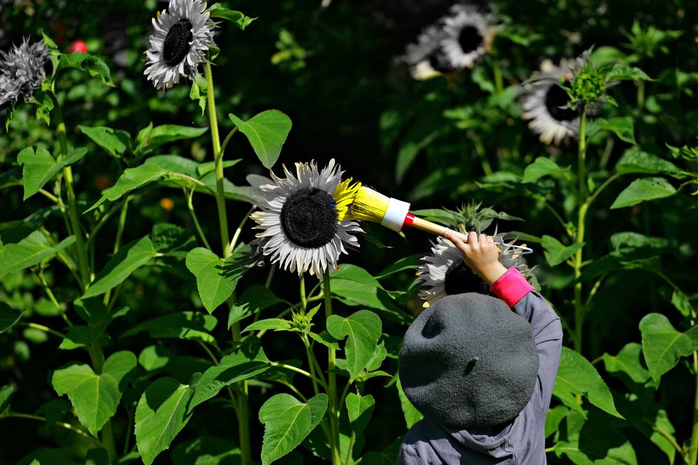 Photograph by Арина Прокшина