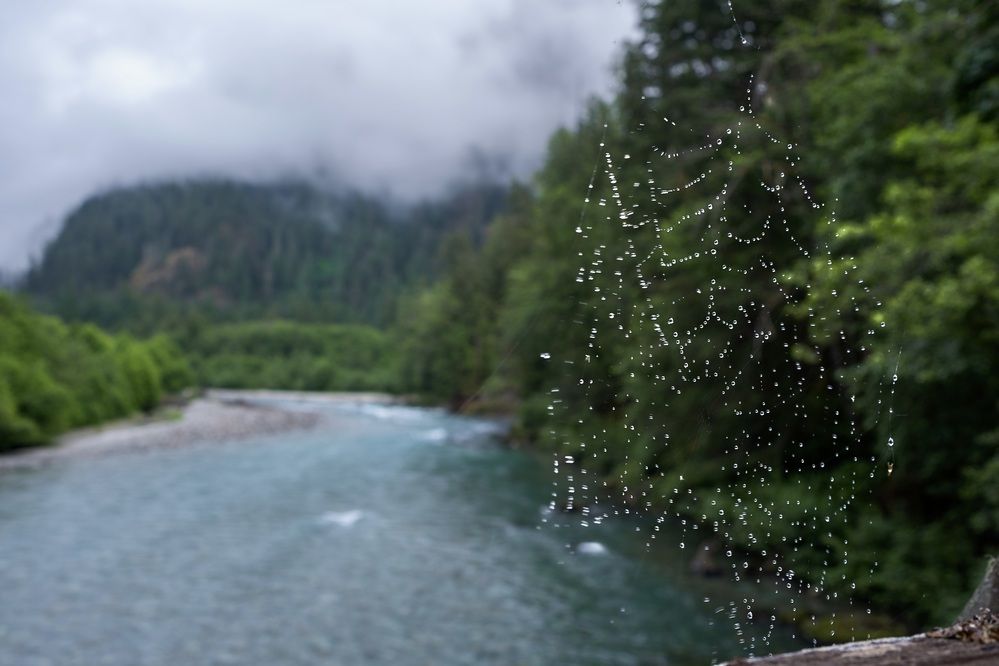 Photograph by Marina Poushkina