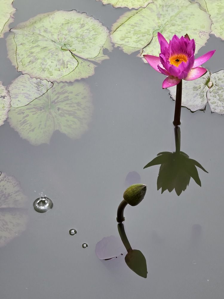 Photograph by Заира