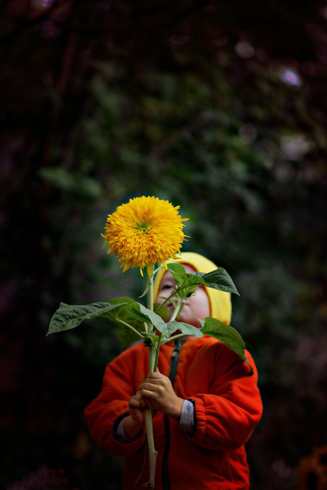 Photograph by Арина Прокшина