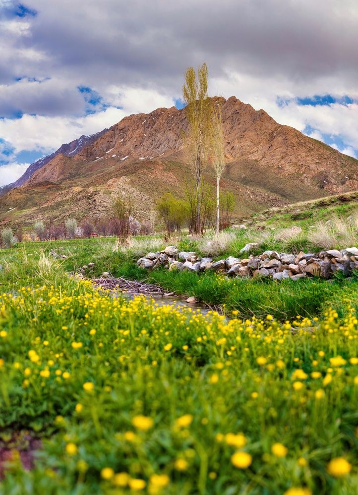 Photograph by Hamid espanani