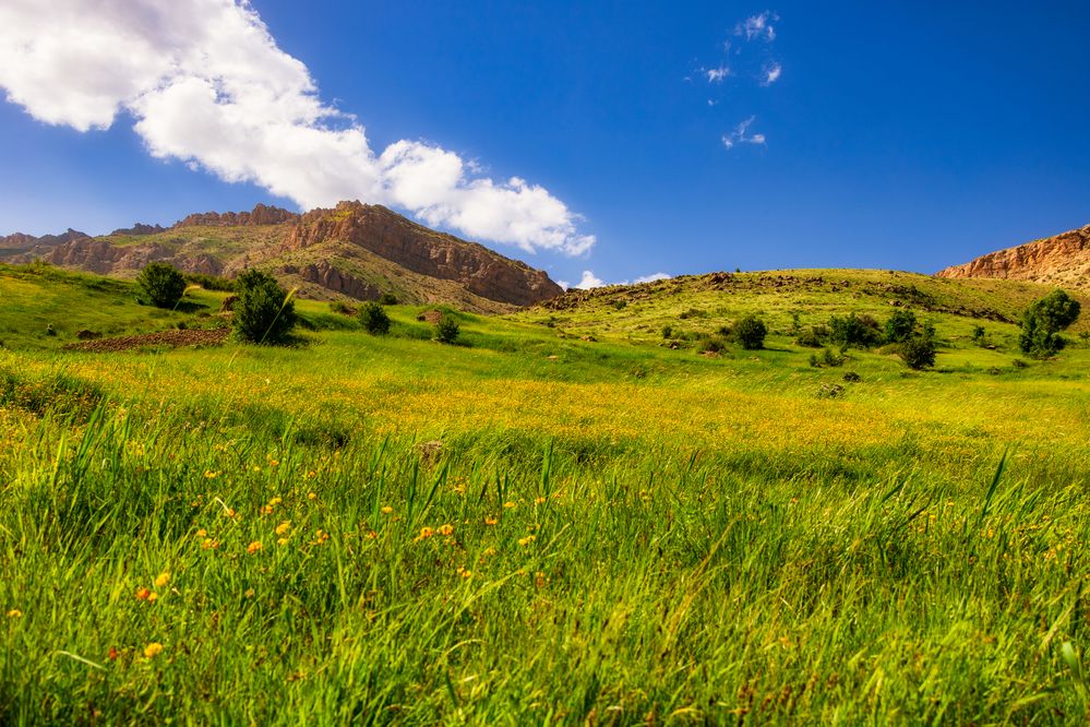 Photograph by Hamid espanani