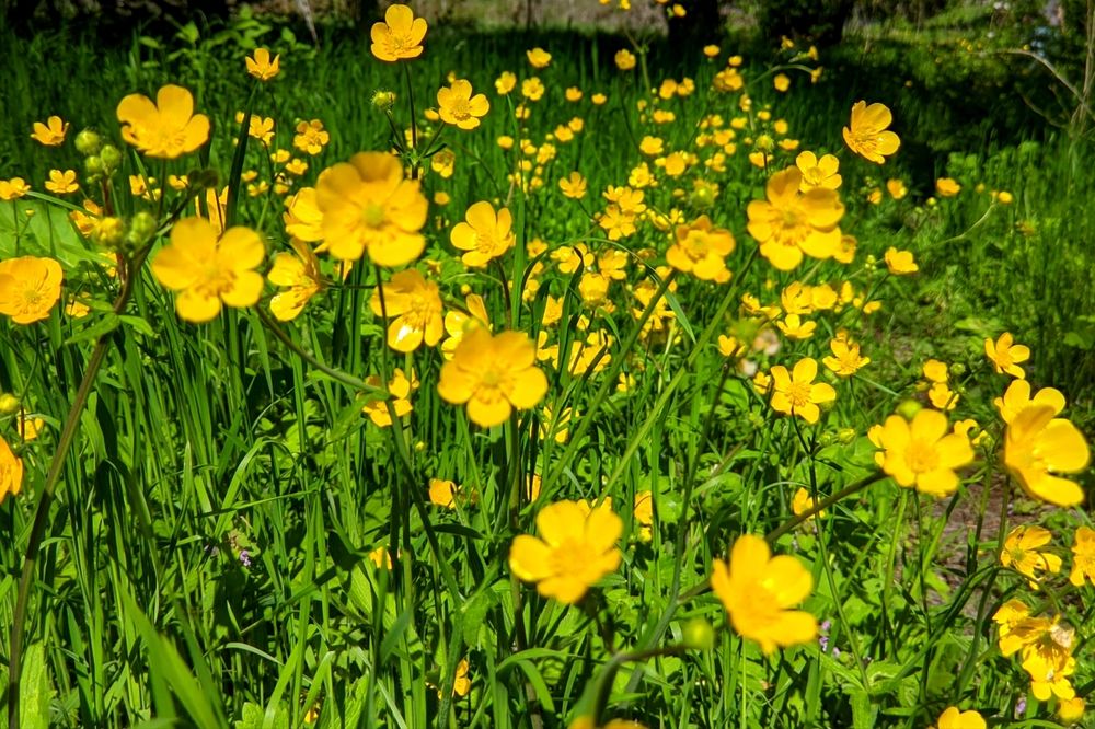 Фотография автора Андрей Павловский