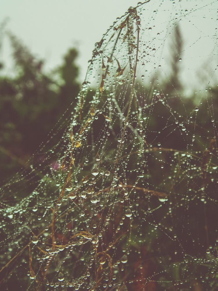 Photograph by Виктор Сёмушкин