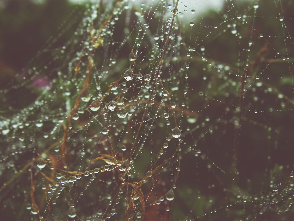 Photograph by Виктор Сёмушкин