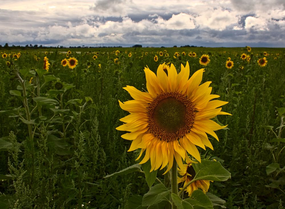 Photograph by Евгений Козлов