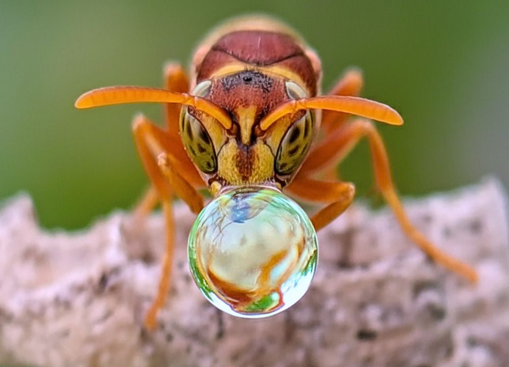 Photograph by QUYẾT TRỌNG NGUYỄN