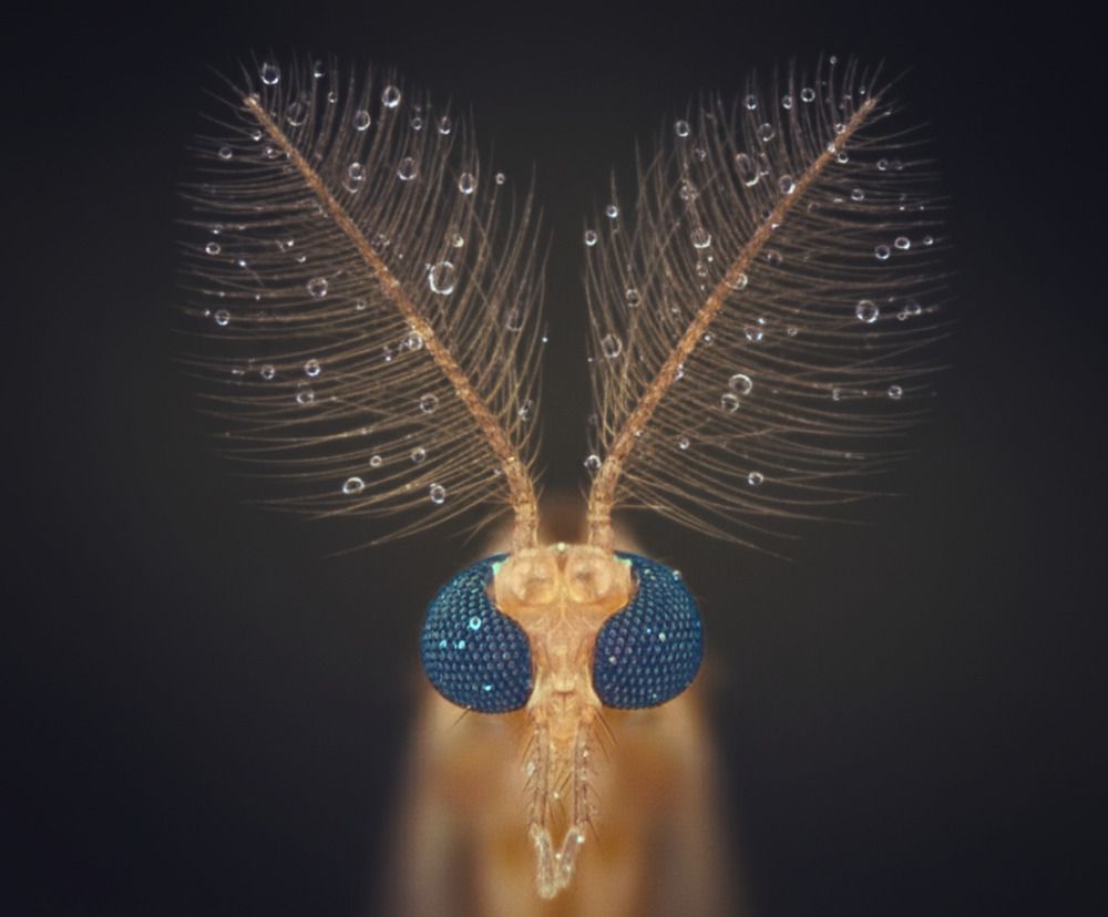 Photograph by QUYẾT TRỌNG NGUYỄN