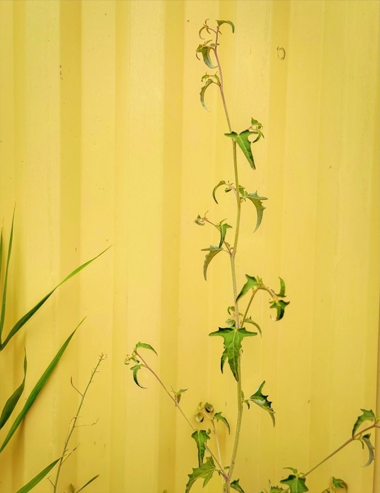 Photograph by Наталия Любчикова