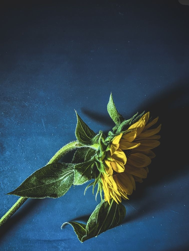 Photograph by Наталия Любчикова