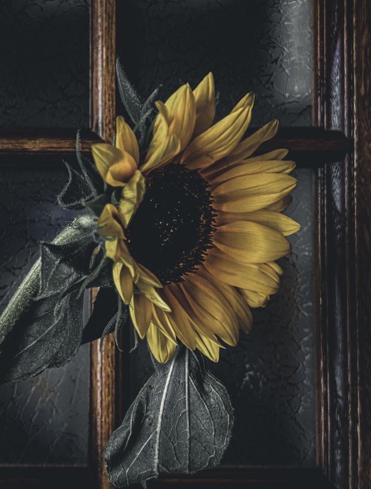 Photograph by Наталия Любчикова