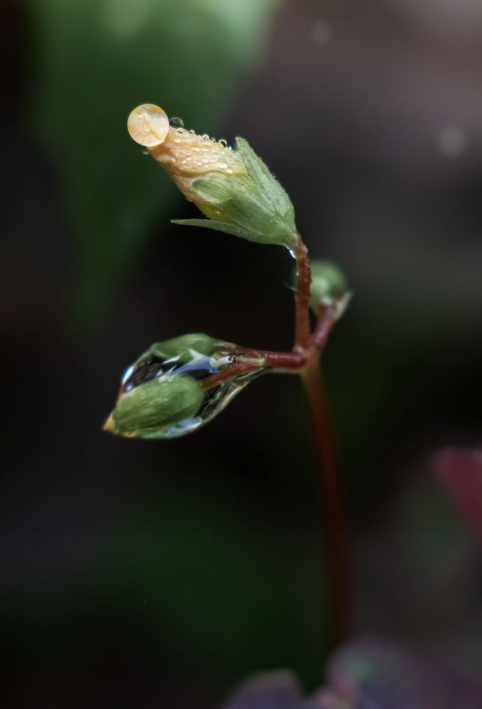 Photograph by Наталья Островцева