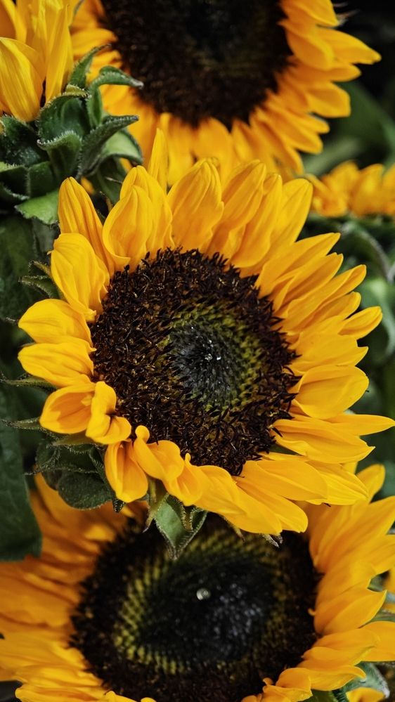 Photograph by Usama Akhtar