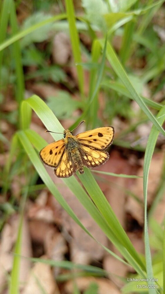 Photograph by Юлия Лихачева