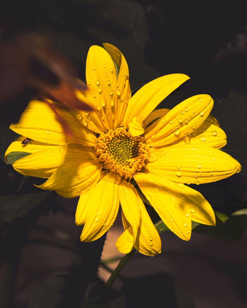 Photograph by Silvio José