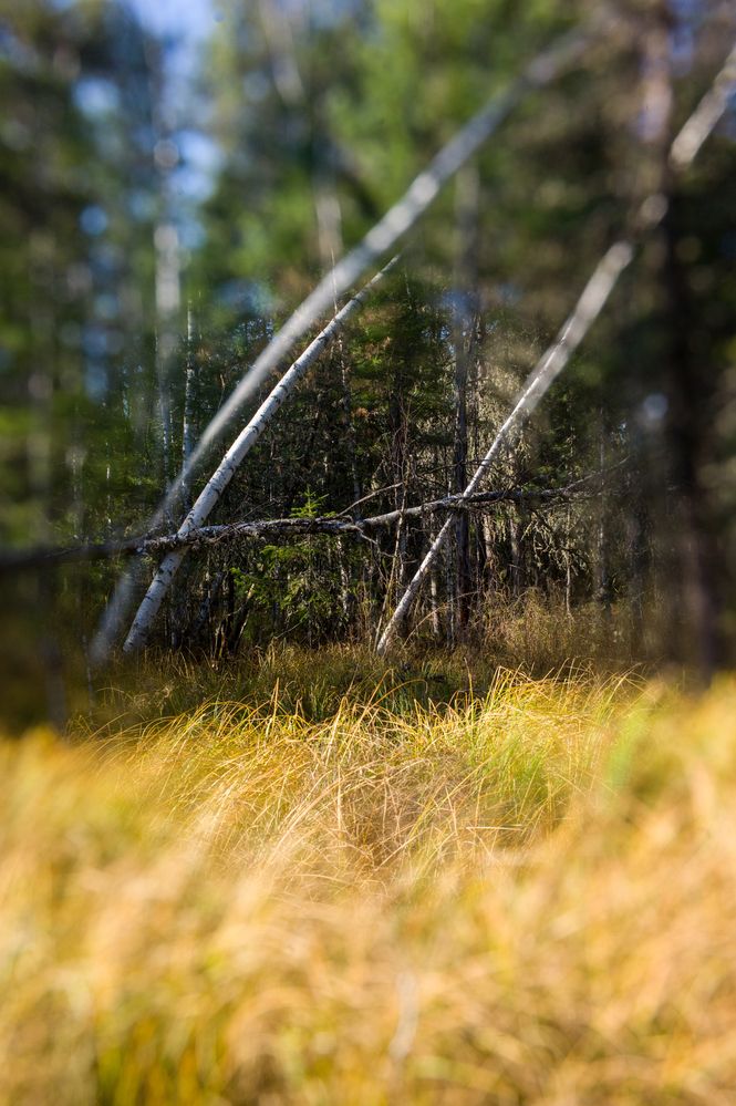 Photograph by Дронов Михаил