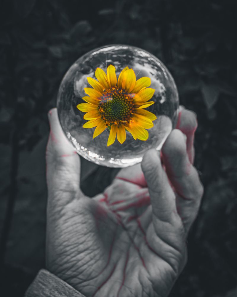 Photograph by Silvio José