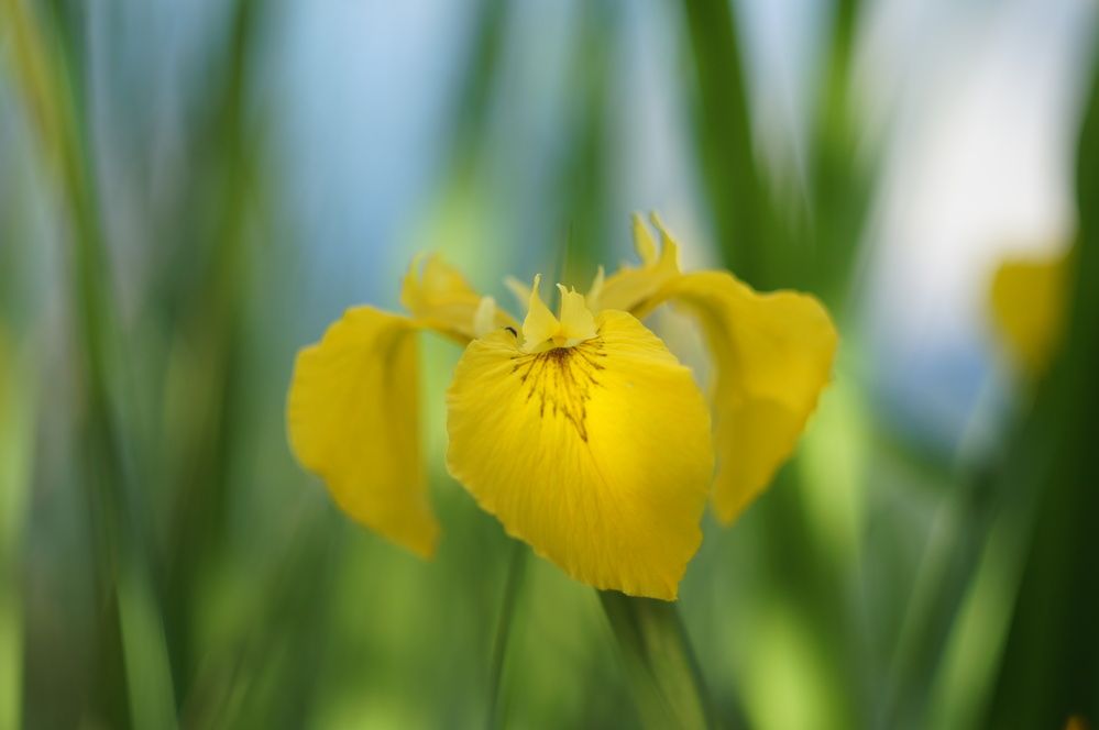 Photograph by Павел Москаленко