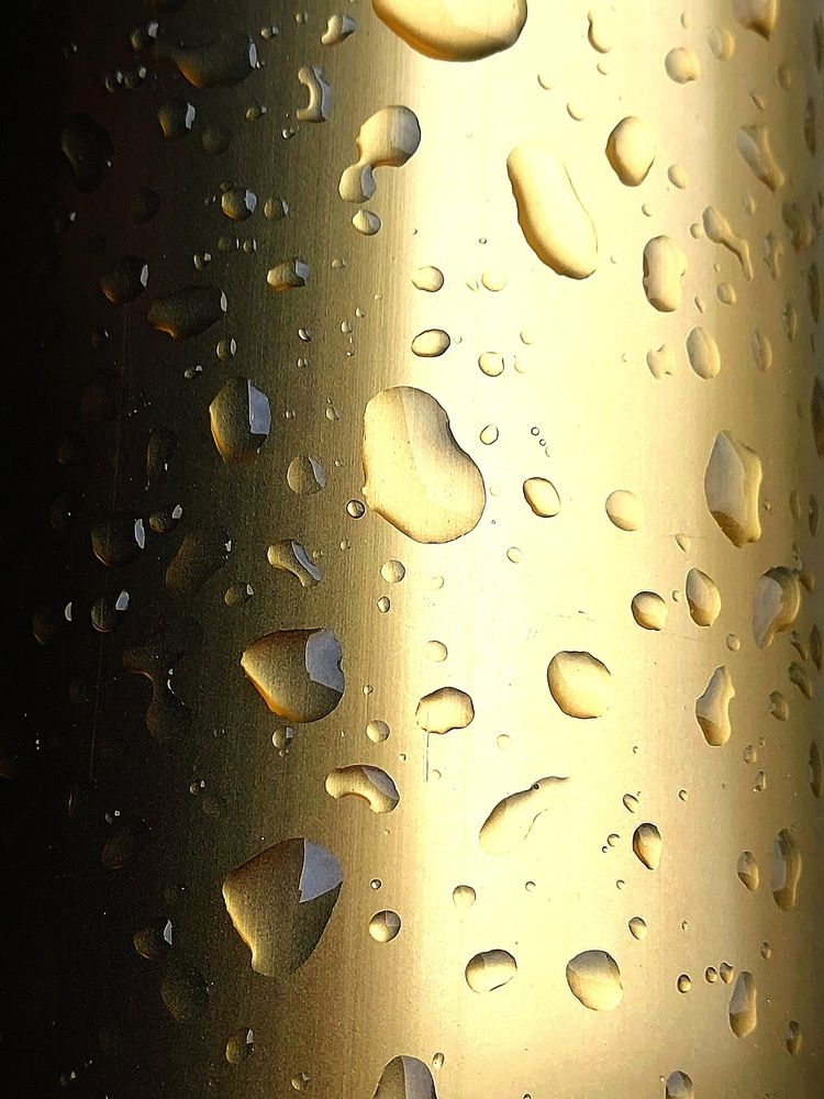 Photograph by Maria da Conceição Queiroz