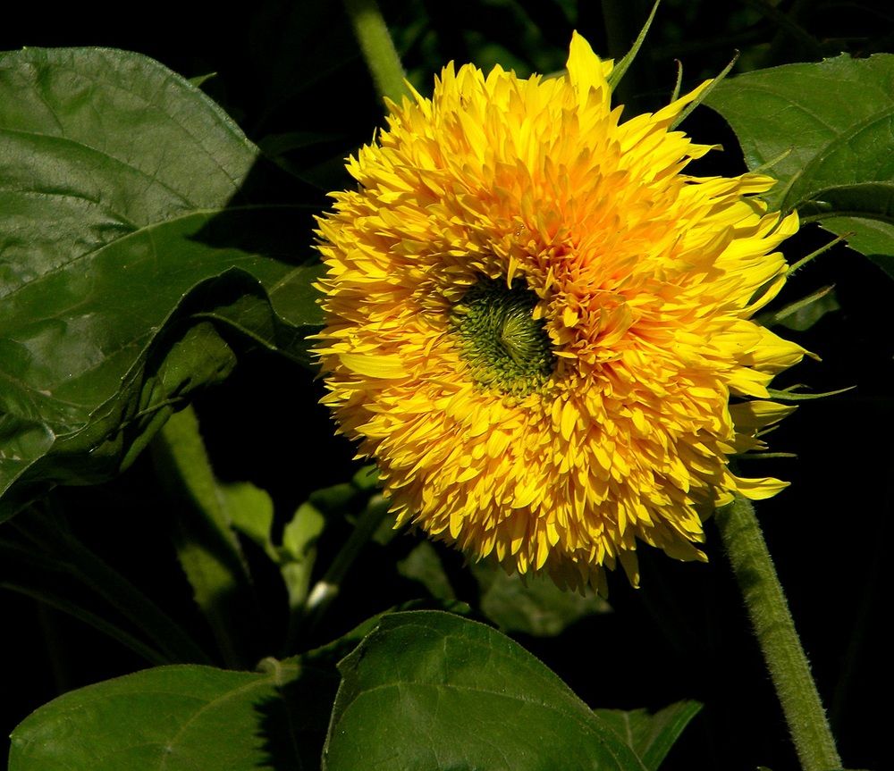 Photograph by Савоцкий Роман