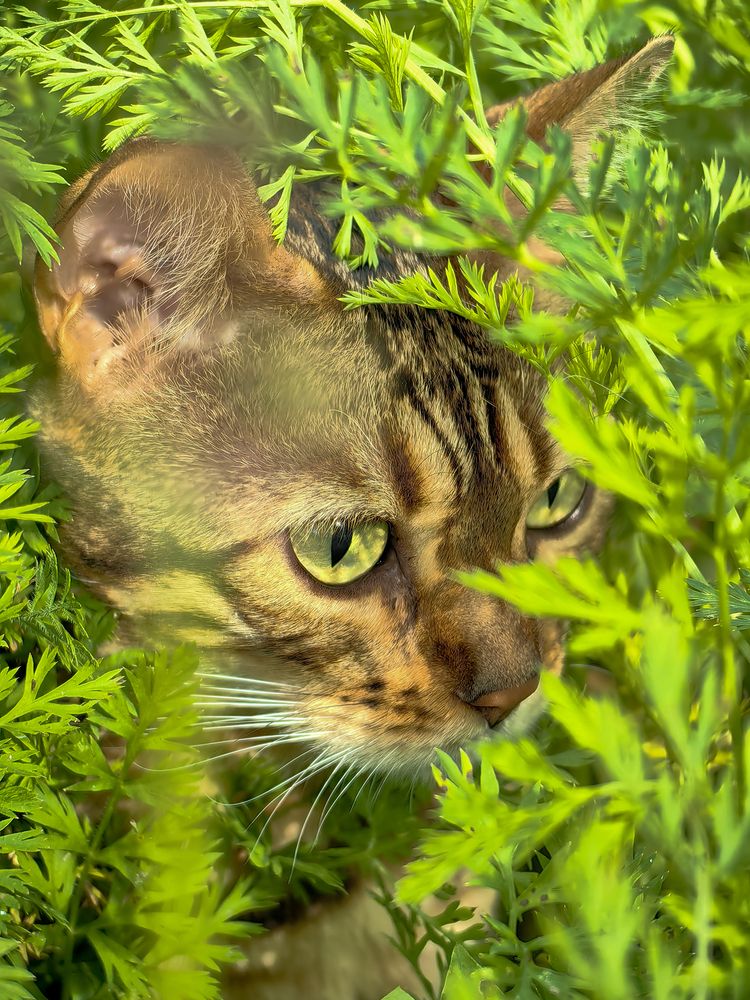 Photograph by Денис Ольгович