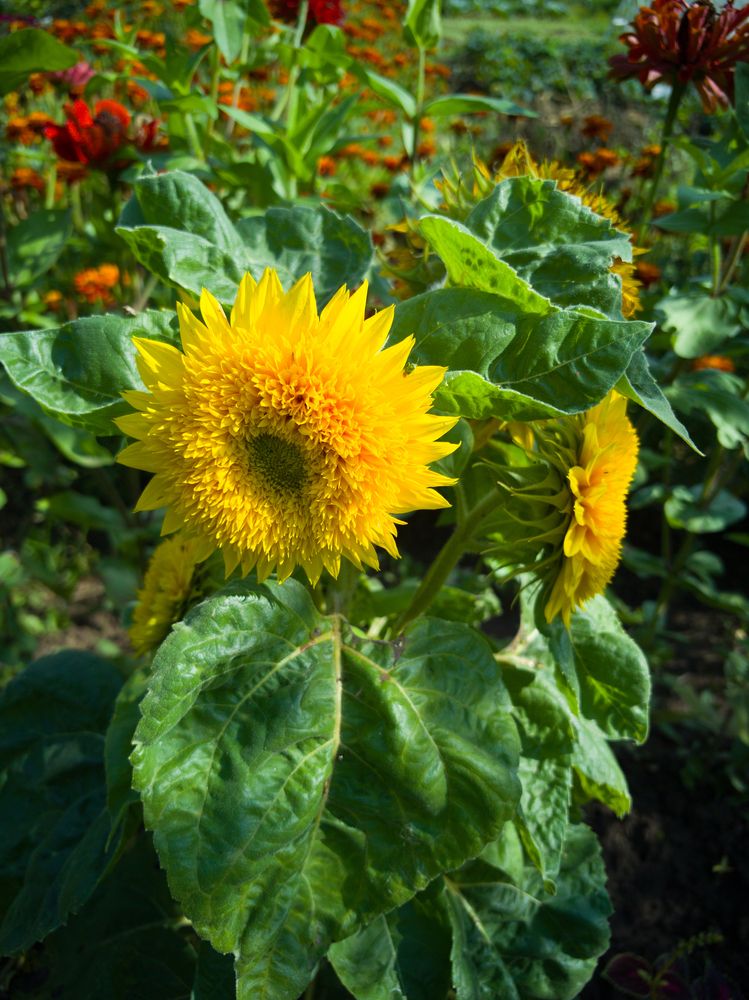 Photograph by Денис Ольгович