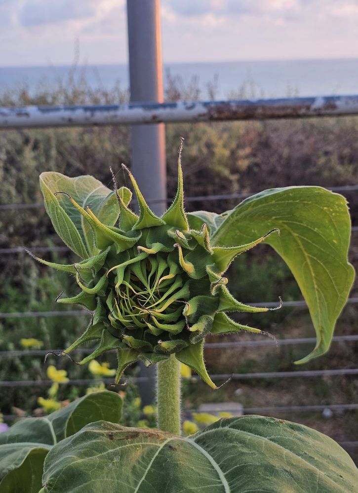 Фотография автора Oksana Podgorodetska