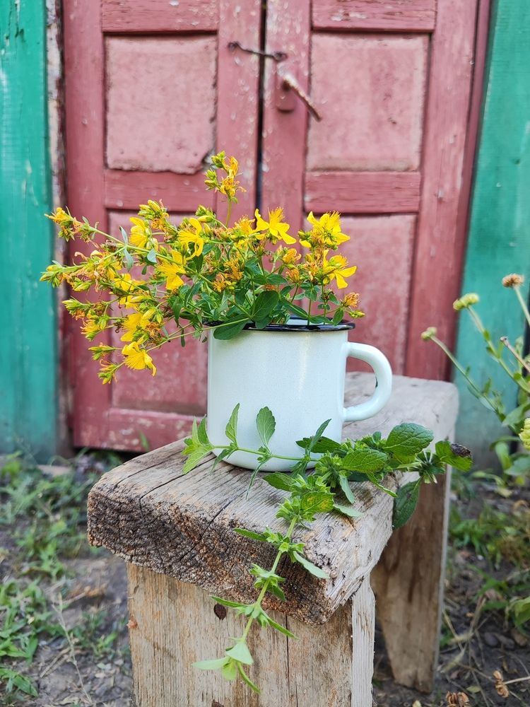 Photograph by Олеся Хижко