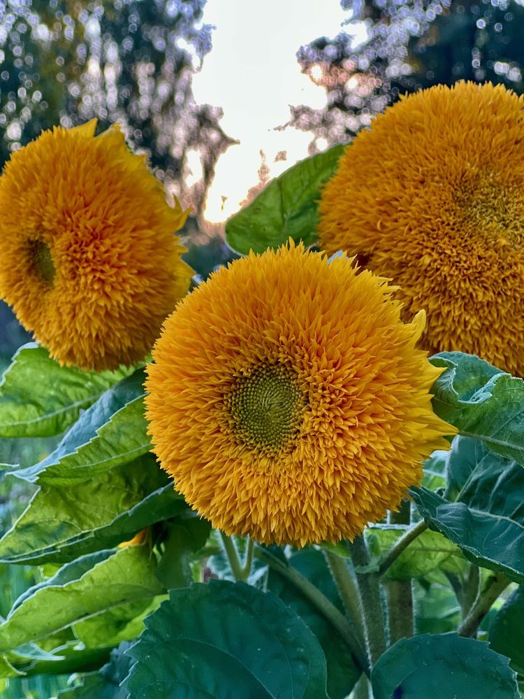 Photograph by Татьяна Михайловна